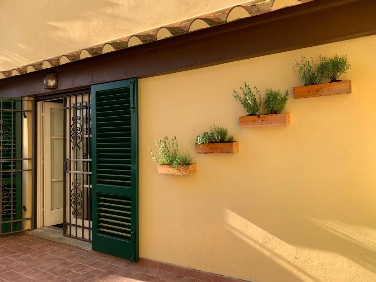 Bed and Breakfast La Terrazza Di Via Elisa Lucca Exteriér fotografie